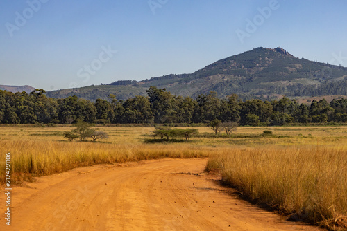 Red dirt road in the grasslands of Mlilwane wildlife sanctuary, Estwatini with the iconic peak of Nyonyane mountain rising in the background.