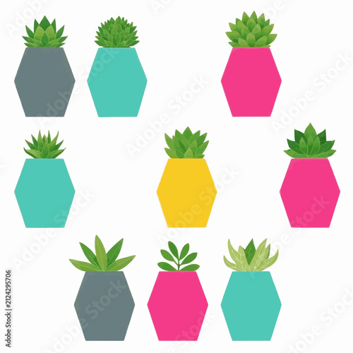 Potted plants set vector, Isolated on white background.