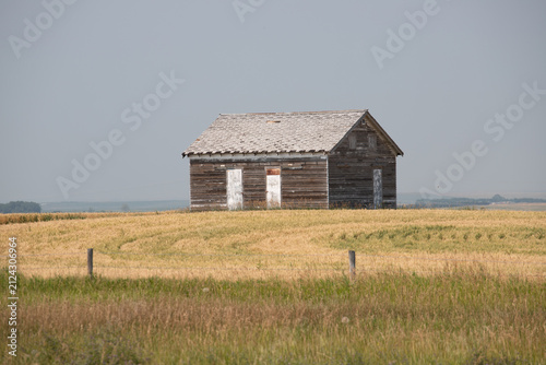 Abandoned Wooden Barn in Golden Prairie Field Under Gray Sky