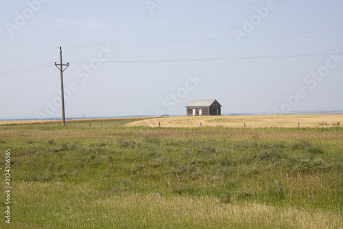 Abandoned Wooden Homestead on Prairie Grassland