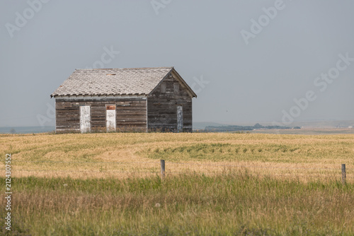 Weathered Wooden Farmhouse in Golden Prairie Field