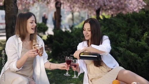 Picnic Drinking, Picnic Women, Ladies Picnic. At cheerful picnic, two female friends enjoy their time and red wine.
