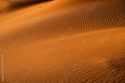Golden sunset light highlights intricate sand ripples in the Sahara Desert creating an abstract natural texture with flowing patterns and dramatic shadows