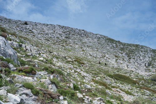 Bild auf Leinwand Descending Mount Athos towards Panagia kelia and Skete of Saint Anne, June 2026,