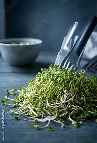 Fresh green microgreens pil...