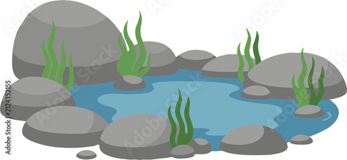 vector illustration of a tropical beach