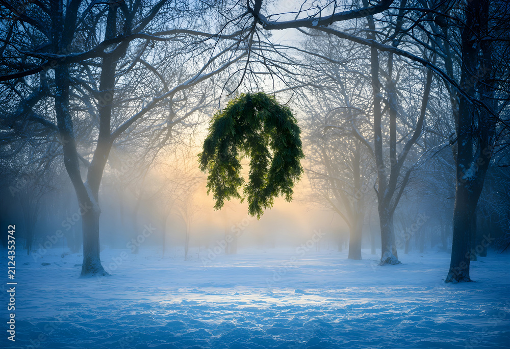 Fototapeta premium Green christmas wreath hanging from a bare tree branch in a snowy winter forest with Golden sunlight and fog, Golden sunlight filters through the fog, illuminating the scene with a tranquil