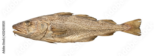 Obraz na płótnie Traditional stockfish png Dried cod cutout Salted fish png Preserved stockfish c