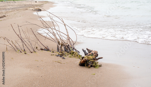 Obraz na plátně Stormy weather brings changes to the beach, some welcome some not