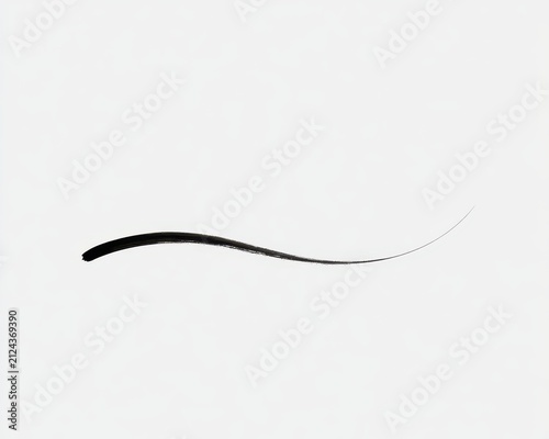 Black ink brush stroke line isolated on white background