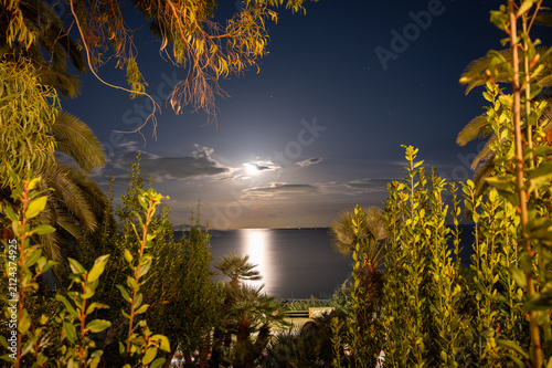 Fotografie Night on tropical island with view on tree and sea with moonlit strip, magic nig