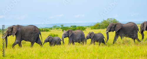 Canvastavla Elephants in Masai Mara. Masai Mara Game Reserve, Kenya, Africa.