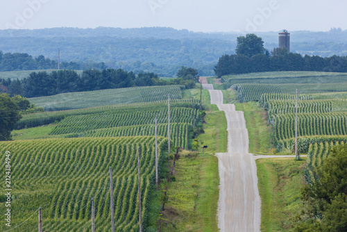 A Rollercoaster Road In Rural Farmland with Corn Fields