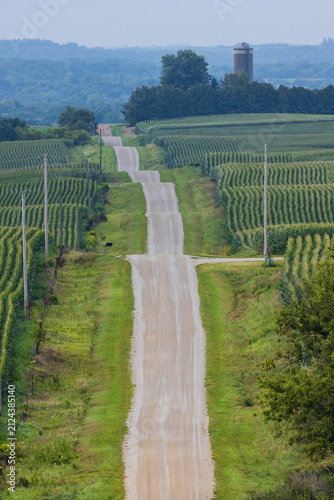 A Rollercoaster Road In Rural Farmland with Corn Fields