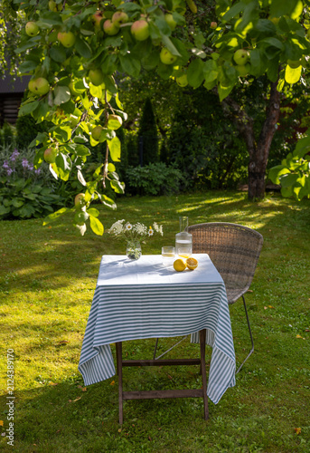 Refreshing Lemon Water on Garden Table in Sunny Summer Backyard