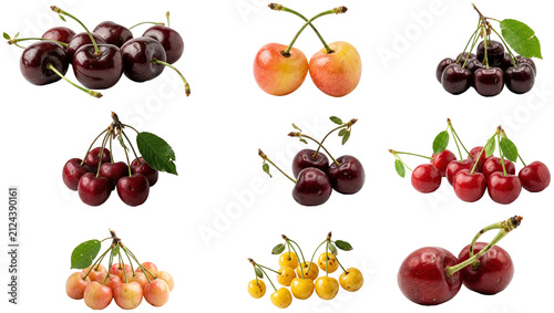 Konstfotografi A collection of assorted cherry varieties shown as fresh stemmed fruits on a clean white background