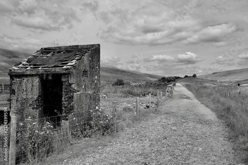 Whernside Trail 