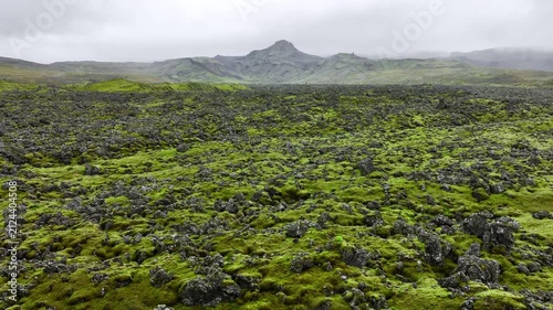 Moss covered lava field stretching toward eroded volcanic ridge and distant peak beneath overcast sky with low clouds, mist, rugged terrain, muted light, remote wilderness