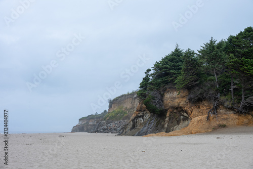 Bild auf Leinwand "Foggy summer day at the beach, headland cliff showing erosion and landslides,