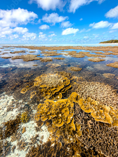 Pristine coral reef beneath crystal clear tidal water with cloud reflections at Heron Island, Queensland, Australia.