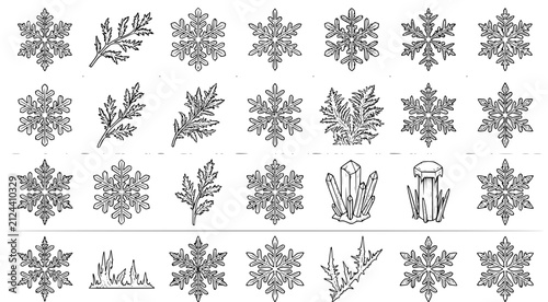 Canvastavla Collection of intricate snowflake and crystal formation illustrations featuring