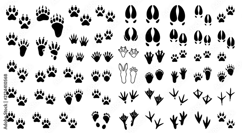 Obraz premium Comprehensive collection of animal footprint and paw print silhouettes including bird tracks for wildlife and nature design projects