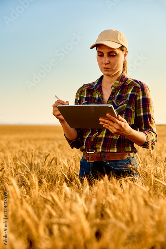 Woman farmer using tablet with stylus in a golden wheat field, smart farming technology