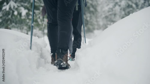 Two hikers trek through snowy forest using poles for support in winter adventure
