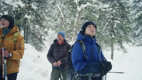 Group of hikers exploring snowy forest with ski poles and backpacks on a cold winter day