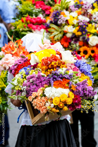 Rear view of a young Colombian silletera carrying a large colorful traditional flower arrangement on her back during the famous Flower Festival parade in Medellin Colombia