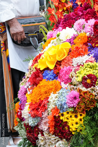 Close up of colorful silleta flower arrangement carried by traditional silletero during Flower Festival parade in Medellin Colombia