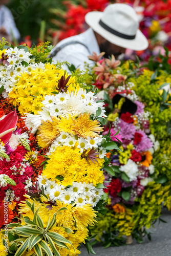 Traditional Colombian silletero preparing colorful floral silleta arrangement during Flower Festival parade in Medellin Colombia, closeup view of vibrant chrysanthemums, carnations and tropical flower