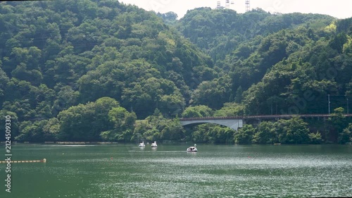 Scenic Summer View of Lake Tsukui in Japan