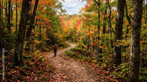 Autumn Forest Path: A solitary hiker meanders along a winding path through a vibrant forest ablaze with the fiery hues of autumn foliage, a picturesque scene of nature's seasonal transformation.