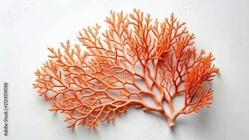 A delicate, coral-colored branched structure, reminiscent of an underwater plant, displayed against a pristine white backdrop.