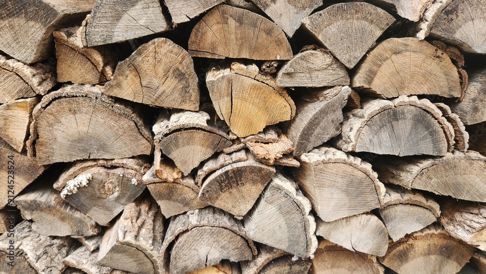 Fototapeta premium Firewood pile, logs, wood showing growth rings, stack of cut logs, nature, wood, natural background 2