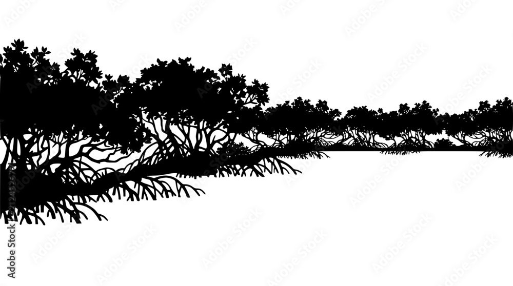 Fototapeta premium Black Mangrove Forest Silhouette with Prop Roots on White Background