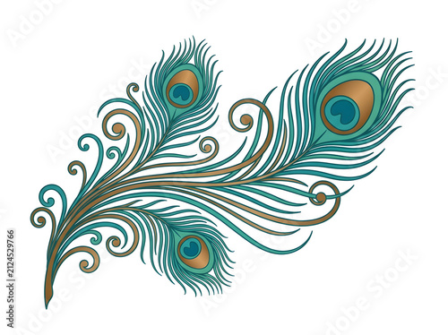 Elegant peacock feather illustration with ornate swirls and teal blue accents. Stylized peacock plume graphic featuring gold and turquoise decorative flourishes on a white background. Artistic