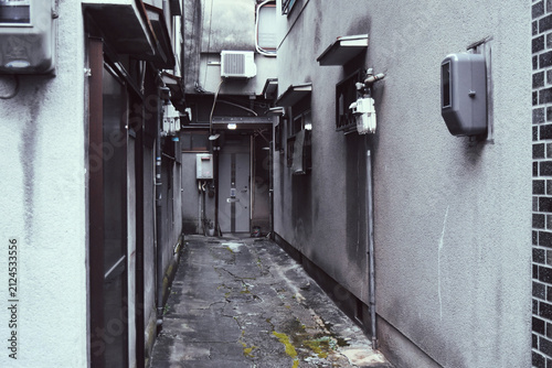 Cuadro en lienzo Narrow alley between buildings with exposed pipes, Japan
