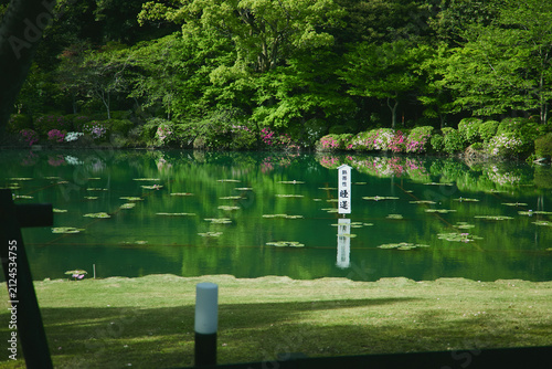 別府地獄めぐり 国指定名勝と湯気立ち上る温泉の風景
