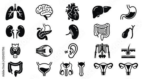 Фотография Collection of Human Internal Organ Icons Isolated on White Background