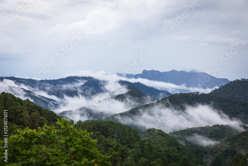 After summer rain with fog and clouds hanging over green forest hills in the national park of thailand. Aerial view