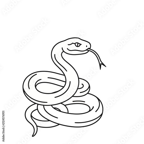 Stylized Snake Illustration