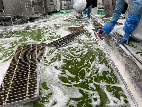 Worker cleaning a floor drainage channel during sanitation procedures in a food manufacturing facility. Foam cleaning process supporting food safety, hygiene management, SSOP, GMP compliance, and envi