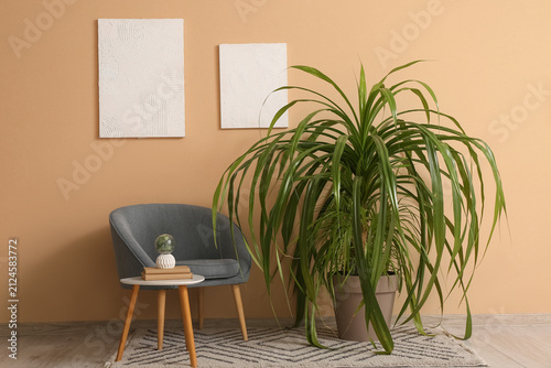 Houseplant near armchair an...