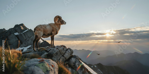 2027 goat zodiac, Confident Mountain Ram Standing on Peak at Sunrise Success Leadership and Goal Achievement Concept