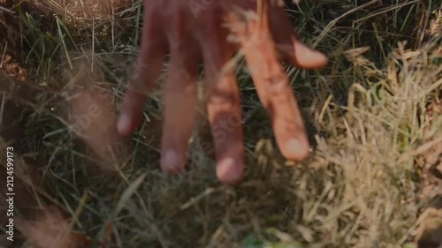 Hand pushes dry grass into the ground, preparing natural organic fertilizer. Person kneels in overgrown field, burying hay to enrich soil. Warm sunlight glows through tall grass, creating soft golden 