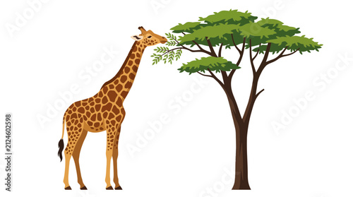 Foto Giraffe Eating Leaves from Tall Tree