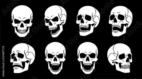 Skull set with six perspectives featuring detailed anatomy, cross-sectional views, and 3D rotations with monochrome shading