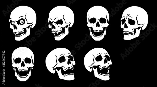 Skull set with six different perspectives featuring isolated views, front, side, and top angles with detailed anatomy and monochrome style